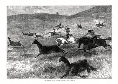 1877年，与美洲虎一起狩猎瓜纳科斯群岛 作者 不明