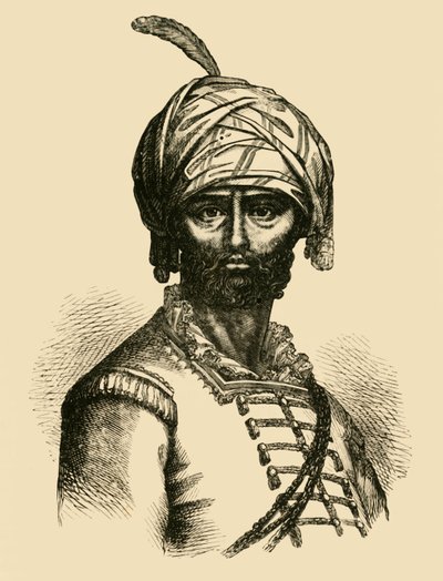 海德·阿里（Hyder Ali），c1750，1890年。 作者 不明