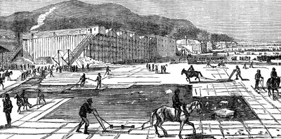 1875年在美国纽约附近的哈德逊河上集冰 作者 不明