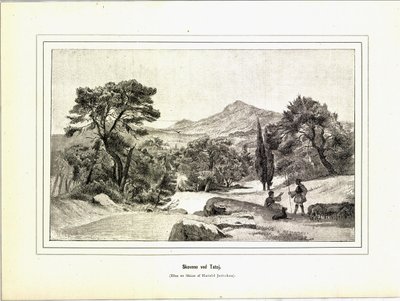 插图摘自《Brogede rejsebilleder》一书，作者Jerichau-Baumann，Elisabeth，由Forlagsbureauet出版（哥本哈根，1881）。 作者 不明