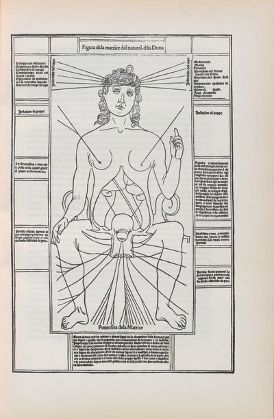 插图来自Johannes de Ketham的Fasciculo di medicina，1493年。 作者 不明