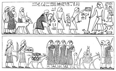 1881年在购物中心Nomist移民移民学院 作者 不明