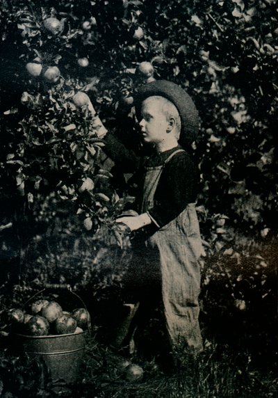 在安大略省一个硕果累累的果园中，1934年 作者 不明