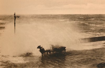 浪潮中c1928 作者 不明