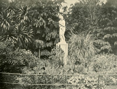 1901年，在墨尔本菲茨罗伊花园（Fitzroy Gardens）中。 作者 不明