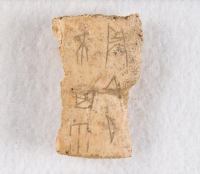 甲骨文碎片，商代晚期，约公元前1300-1050年。 作者 不明