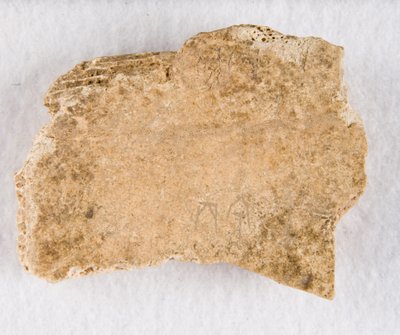 甲骨文碎片，商代晚期，约公元前1300-1050年。 作者 不明