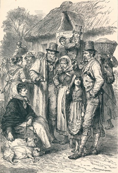 爱尔兰农民，1896年 作者 不明
