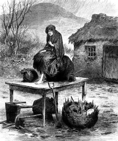 守卫家属的爱尔兰农民女孩，最后几件财产，1886年 作者 不明