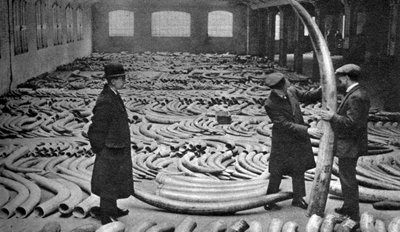 象牙快船，伦敦皇家阿尔伯特码头，1926-1927年 作者 不明