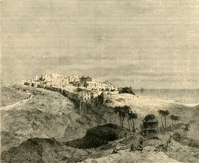 贾法，1890年。 作者 不明