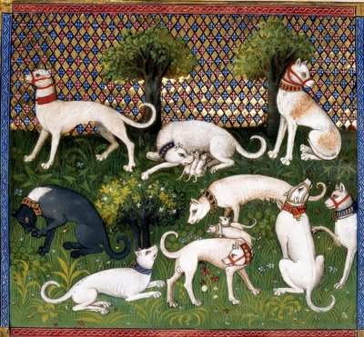 Jagdhunde（艾伦）-狩猎书 作者 不明