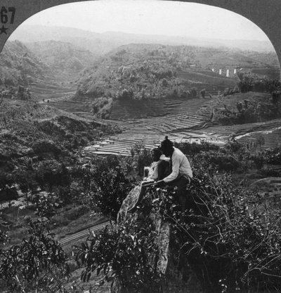 爪哇，印度尼西亚，c1900s 作者 不明