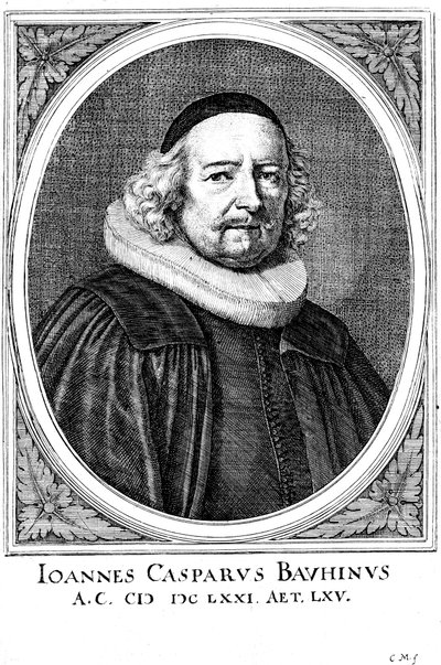 Jean Caspar Bauhin 1606-1659，瑞士医师和植物学家 作者 不明