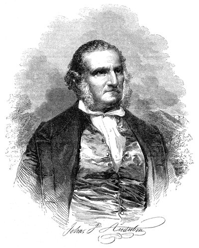 约翰·詹姆斯·奥杜邦（John James Audobon）1780-1851，美国鸟类学家和艺术家，1852年 作者 不明