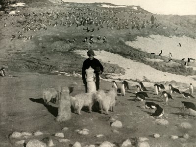 乔伊斯与企鹅群中的狗，摄于1909年，约1909年。 作者 不明