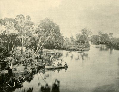 维多利亚州Glengarry和Thompson河的交汇处，1901年。 作者 不明