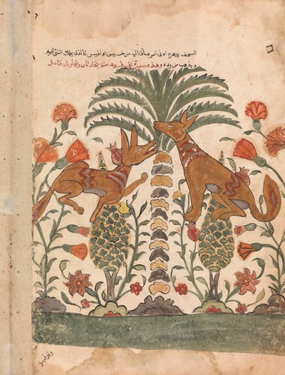 Kalila Upbraiding Dimna, Folio from a Kalila wa Dimna, 18世纪。 作者 不明