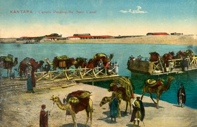坎塔拉-骆驼穿越苏伊士运河，c1918-c1939。 作者 不明