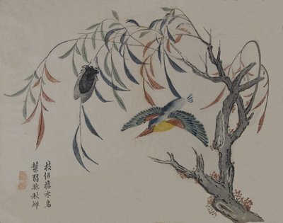 翠鸟、蝉和柳树，19世纪。 作者 不明