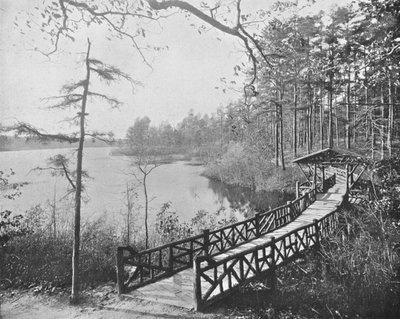 美国新泽西州莱克伍德市接吻桥，摄于1900年。 作者 不明