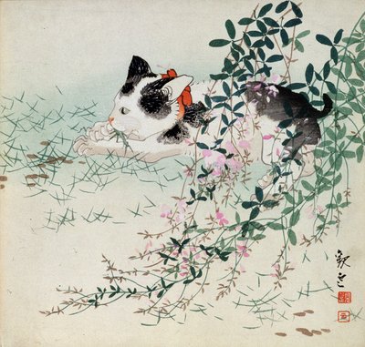 小猫在草和叶子花中 - 日本印刷品 作者 不明