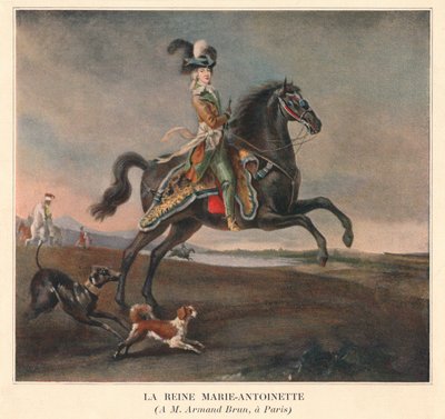 玛丽·安托瓦内特女王（Queen Marie Antoinette），1783年。 作者 不明