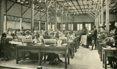 1901年，《女士文员制表美国人口普查归还》。 作者 不明
