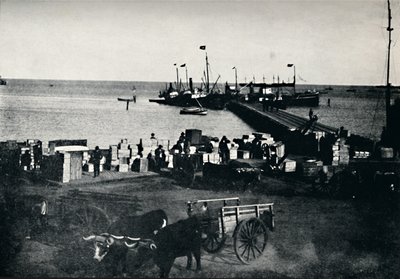 蓬塔阿雷纳斯着陆广场，1911年 作者 不明