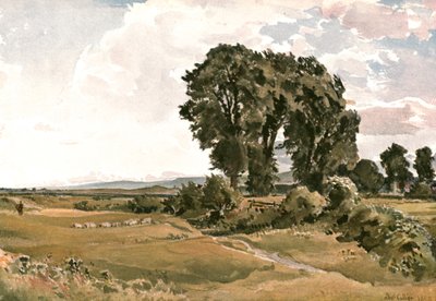风景，靠近Wareham，多塞特郡-室外素描，c1900。 作者 不明