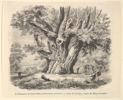 LeChâtaignierde Neuve-Celle，于1835-78年在Daubigny之后在日内瓦湖岸上。 作者 不明