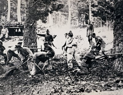 Legionnaires on the front of the Sierra cutting pine trees and filling the bags to make shelters against enemy planes 作者 不明