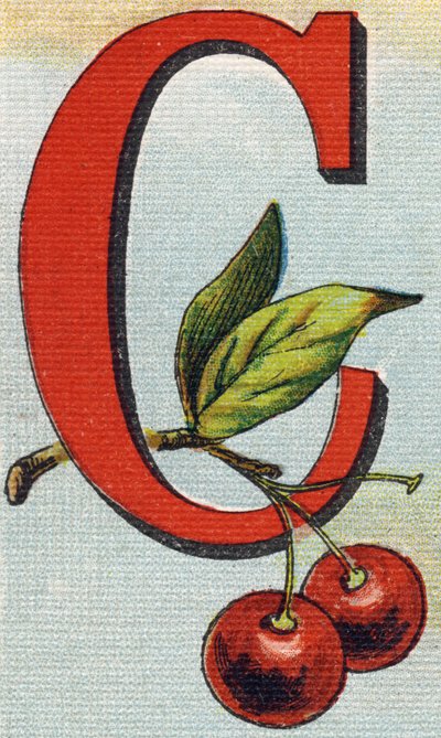 字母 C：樱桃。 雕刻“Alphabet de ma petite fille”。 Bernardin-Bechet 和 Fils，书商出版商，巴黎，约 1895 年。坚不可摧的画布专辑。 贝贝斯图书馆。 12 页。 包含阅读方法和说明性 abece 的专辑 作者 不明