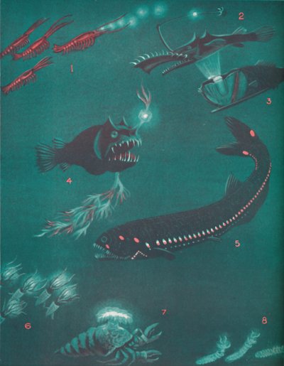 1935年，生活在海面以下半英里处 作者 不明