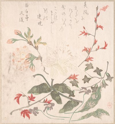 百合，紫罗兰，樱花，连翘，和一枝红枫，18-19世纪。 作者 不明