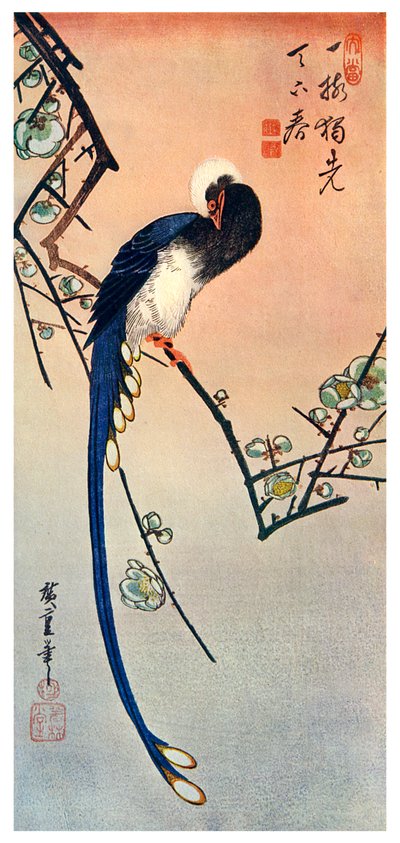 长尾蓝鸟在盛开的梅花树的树枝上，19世纪，1925年 作者 不明