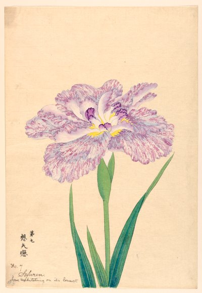 沉思中的爱的伴侣（Sofuren），第7号，约1910年 作者 不明