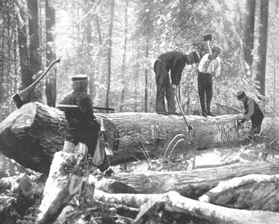在加拿大渥太华河上伐木，摄于1900年。 作者 不明