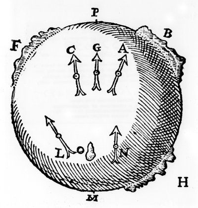 磁性，1600年 作者 不明