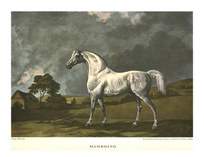 Mambrino，c1779，c1955。 作者 不明