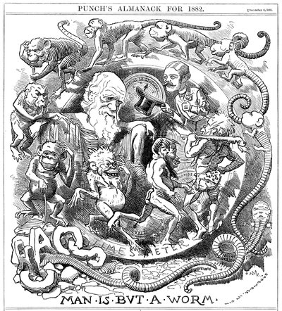《人不过是蠕虫》，一部来自Punch的动画片，显示了从蠕虫到人的演变，1881 作者 不明