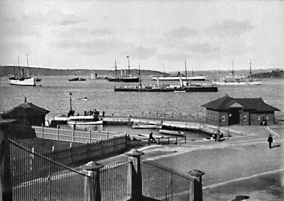 Man o War Stairs and Farm Cove，c1900年。 作者 不明