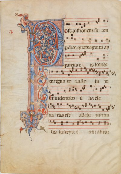 带有叶状首字母P的手稿叶子，来自一本Antiphonary，约1250-60。 作者 不明