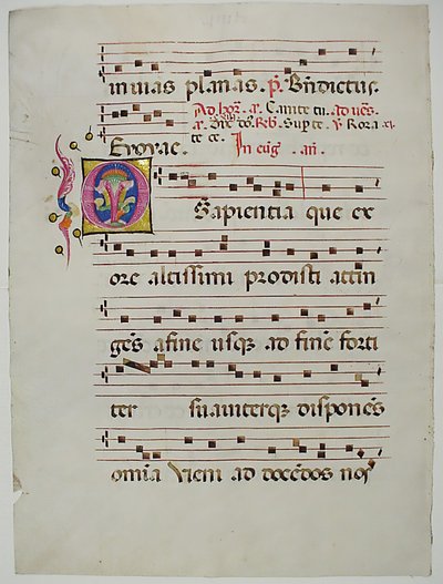 带有首字母O的手稿叶子，来自意大利的Antiphonary，15世纪。 作者 不明
