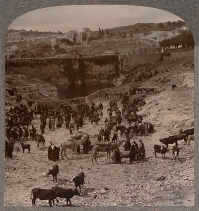 集市池集市日，c1900年 作者 不明
