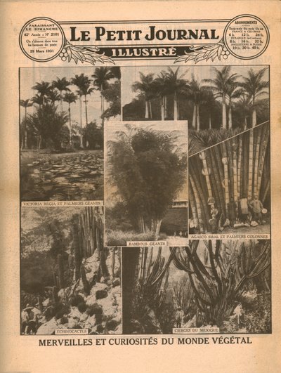 1931年植物世界的奇事和奇观。 作者 不明