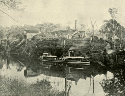 1901年，位于新南威尔士州格拉夫顿附近的Meat Works。 作者 不明