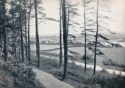 梅奈-1895年从班戈伍德出发 作者 不明