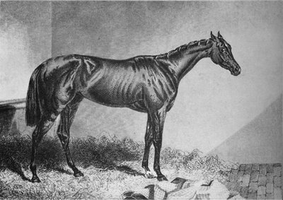 乞dic，19世纪，1911年 作者 不明