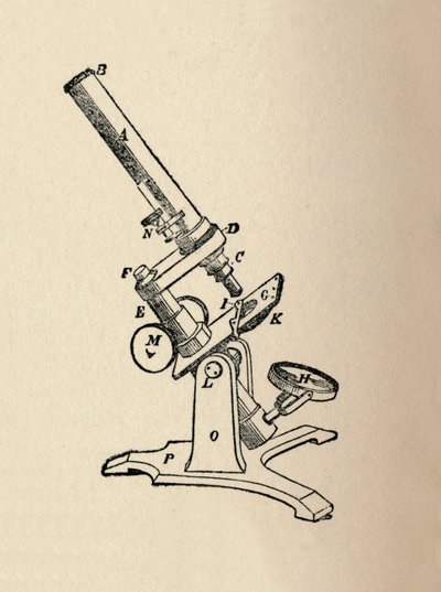 显微镜，1912年 作者 不明